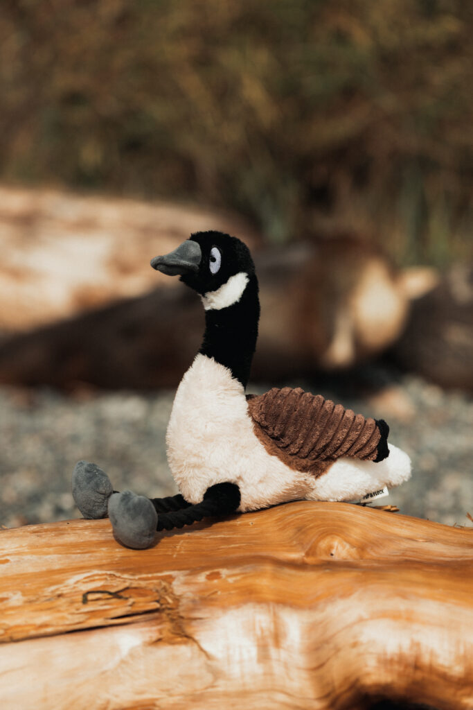 Val – Canada Goose